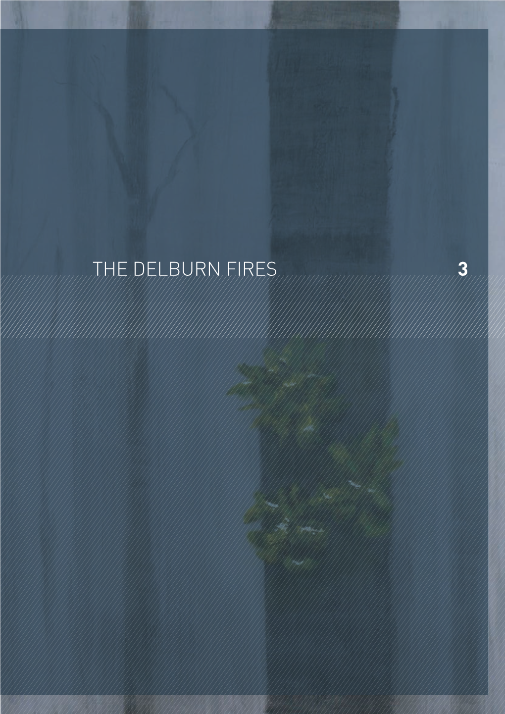 3 the Delburn FIRES