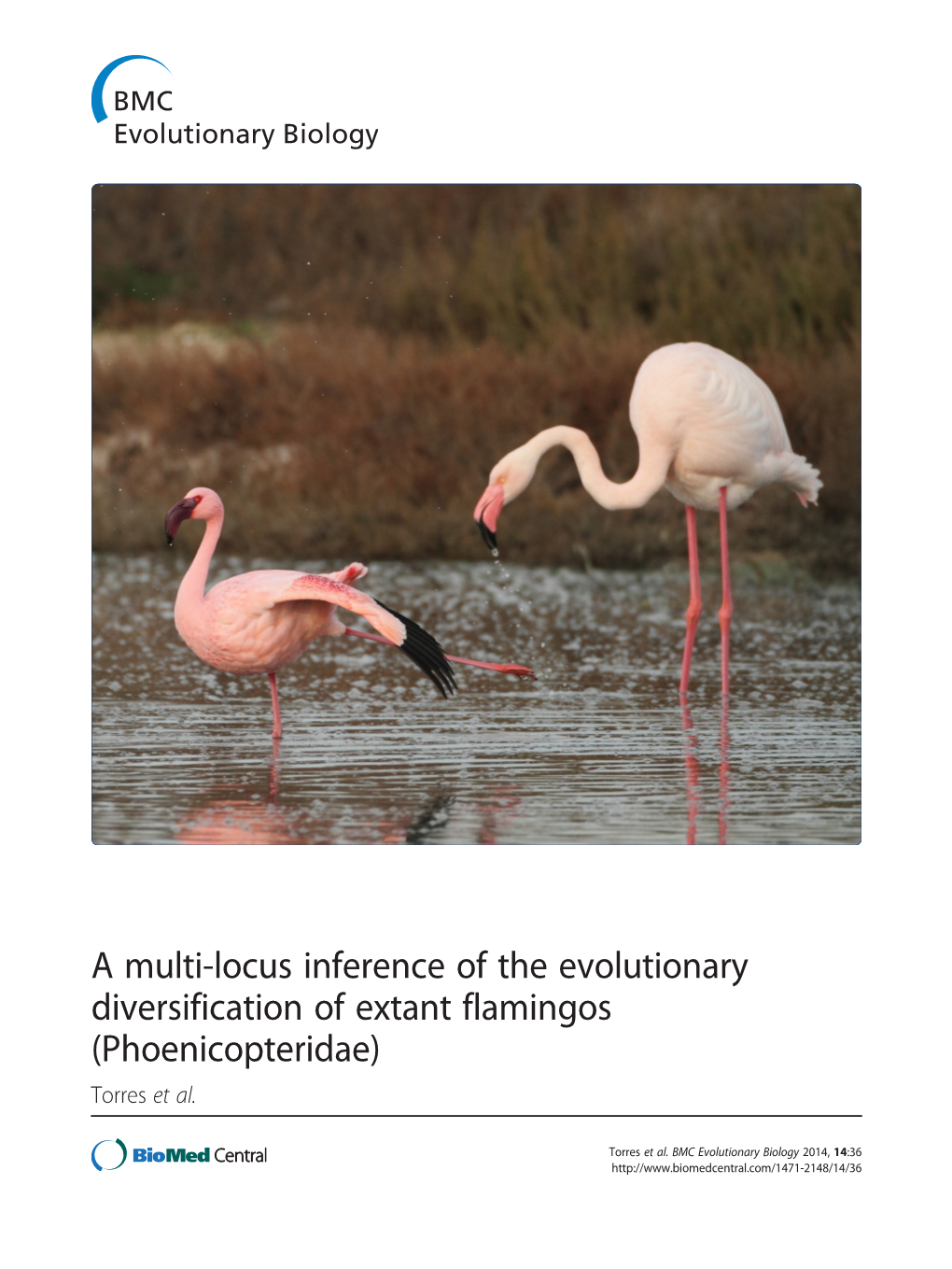 A Multi-Locus Inference of the Evolutionary Diversification of Extant Flamingos (Phoenicopteridae) Torres Et Al