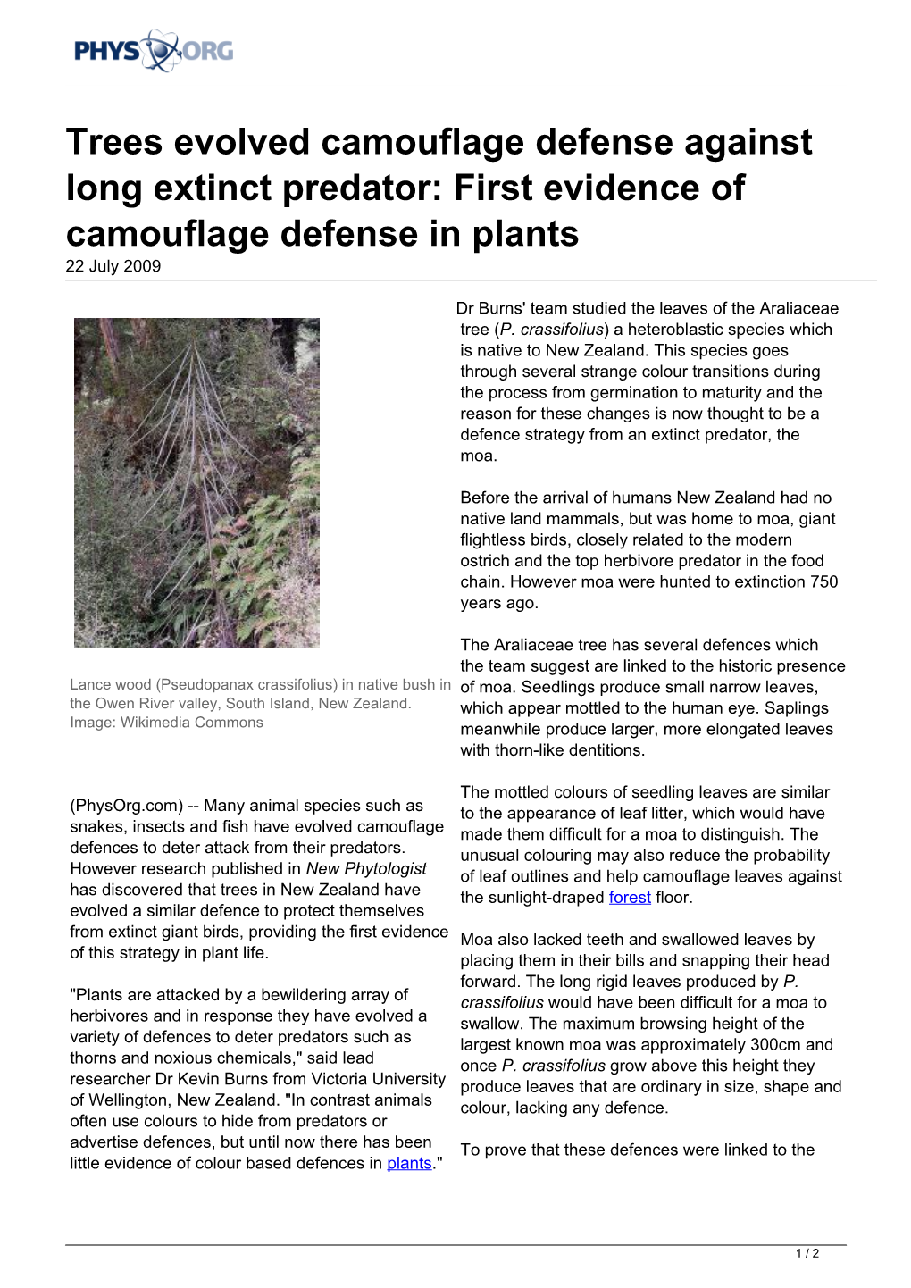 Trees Evolved Camouflage Defense Against Long Extinct Predator: First Evidence of Camouflage Defense in Plants 22 July 2009