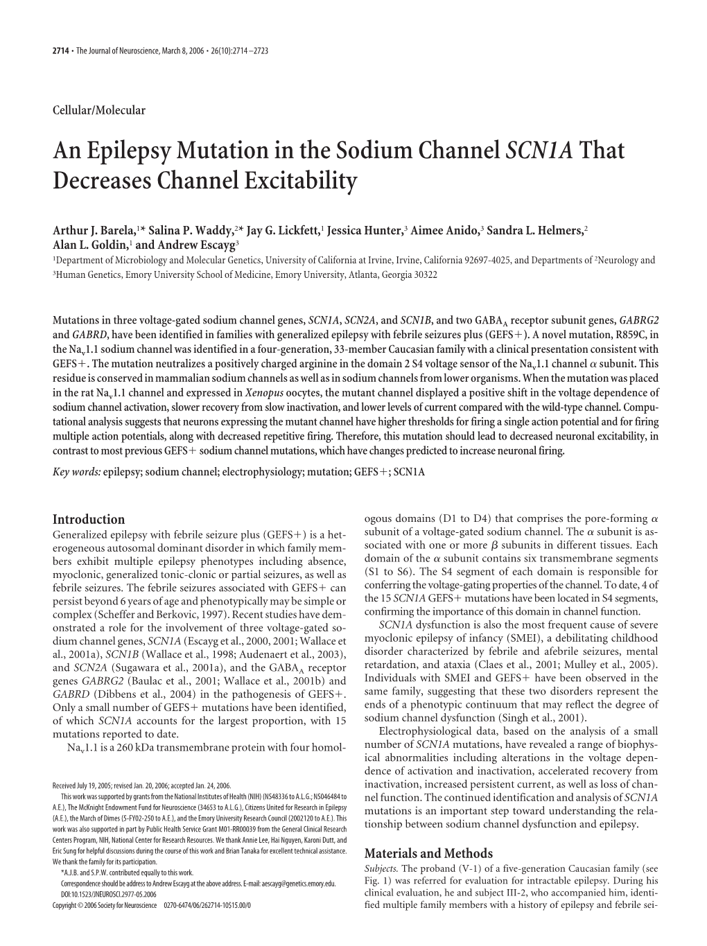 An Epilepsy Mutation in the Sodium Channelscn1athat Decreases