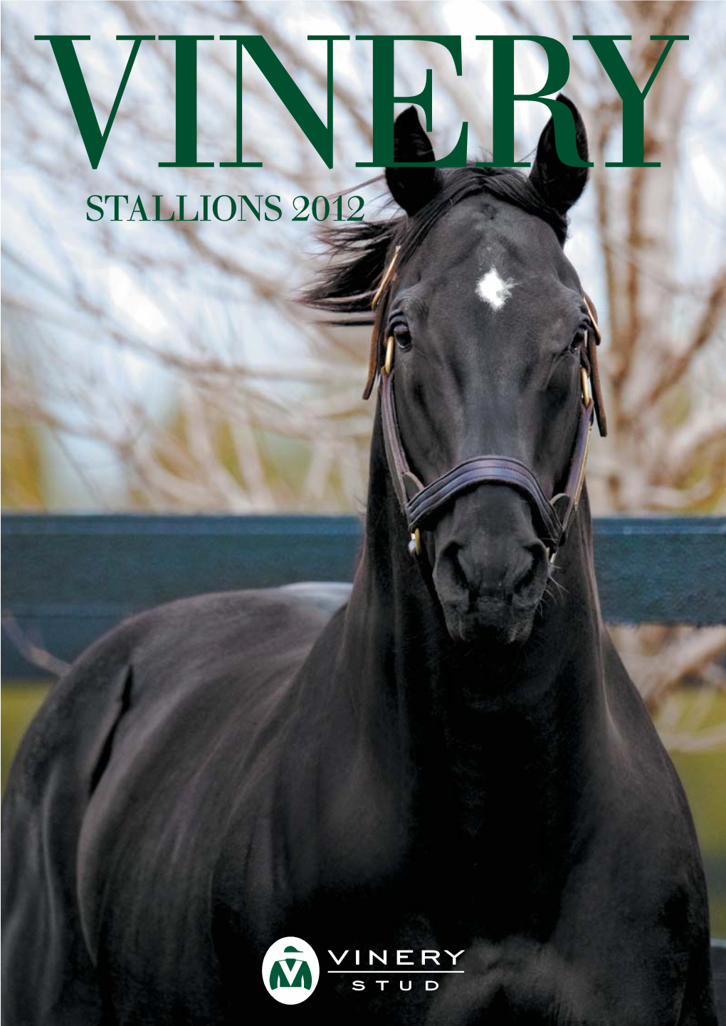 2012-Stallions-Broch