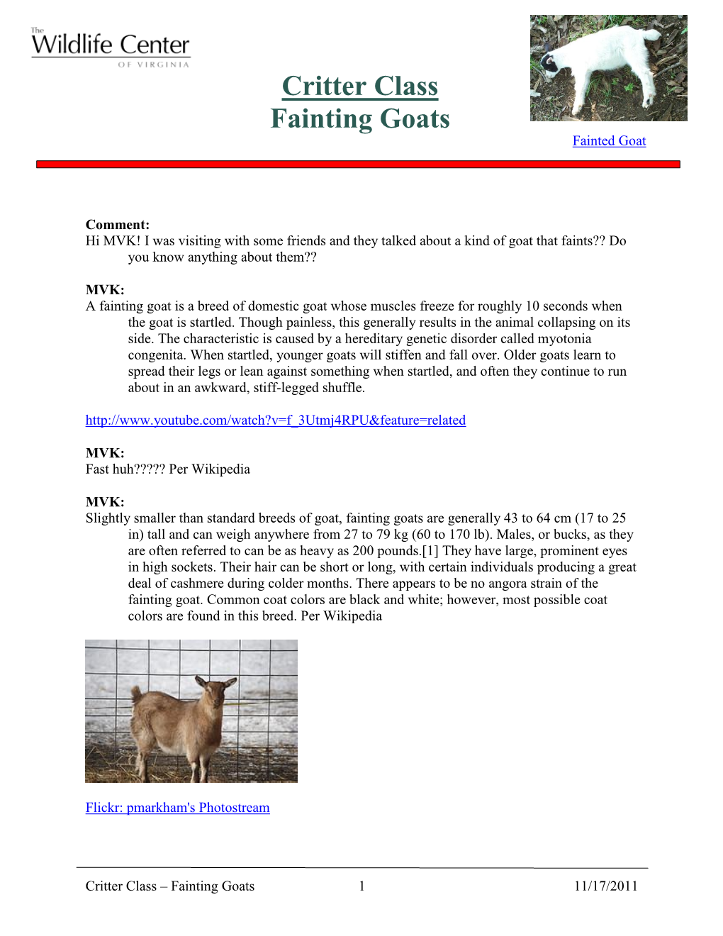 Critter Class Fainting Goats