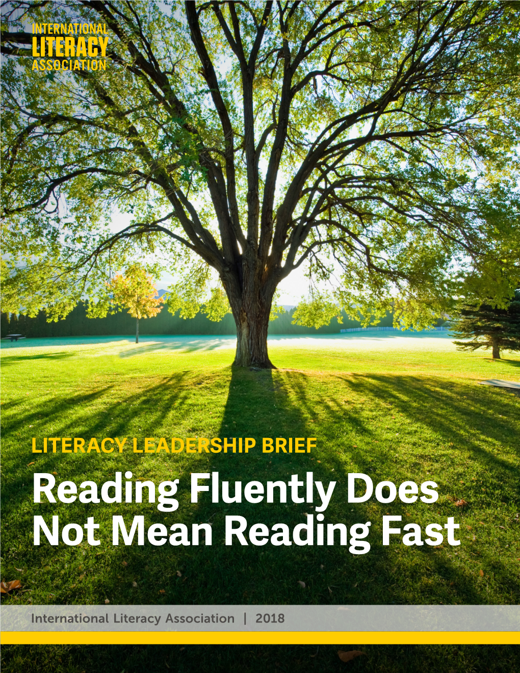 Reading Fluently Does Not Mean Reading Fast