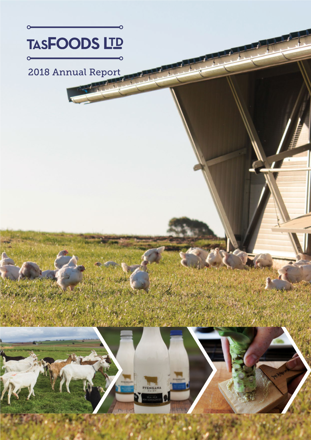 2018 Annual Report