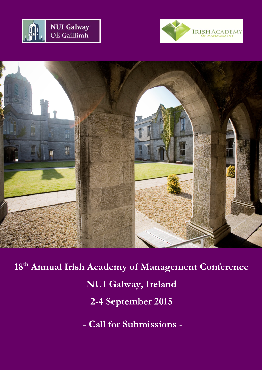 18Th Annual Irish Academy of Management Conference NUI