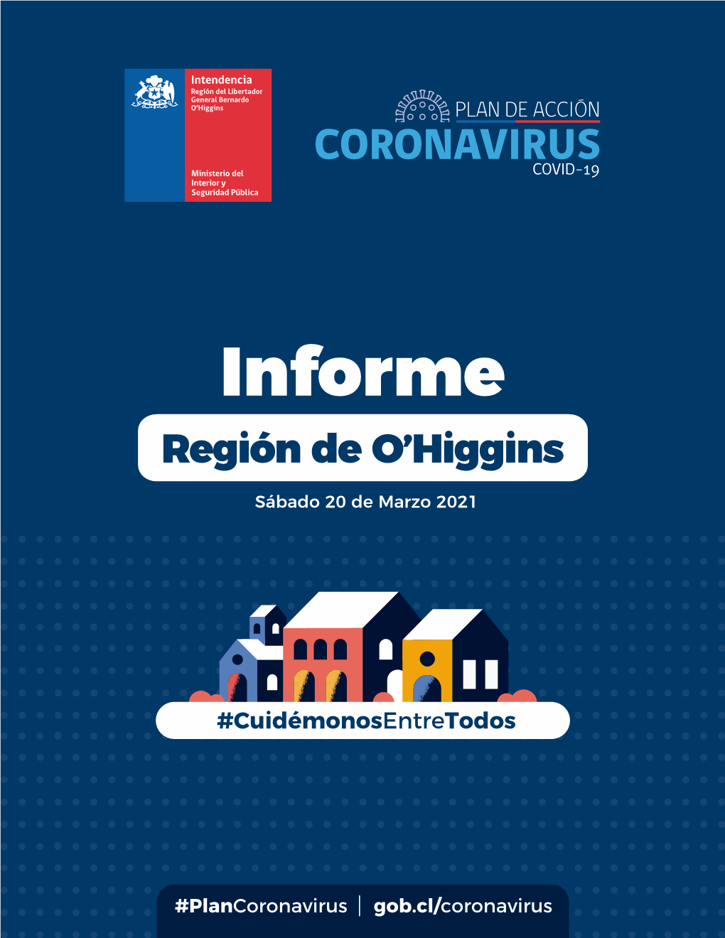 Informe Región De O’Higgins