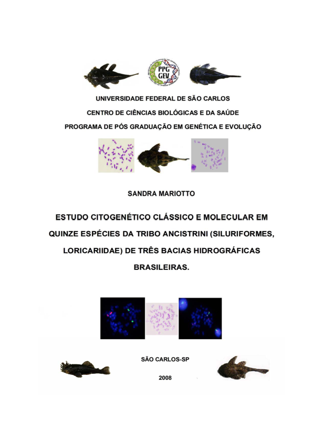 Siluriformes, Loricariidae) De Três Bacias Hidrográficas Brasileiras