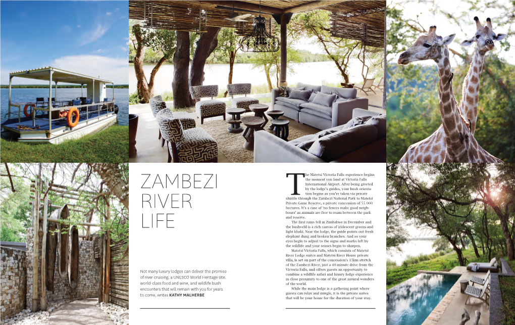 Zambezi River Life