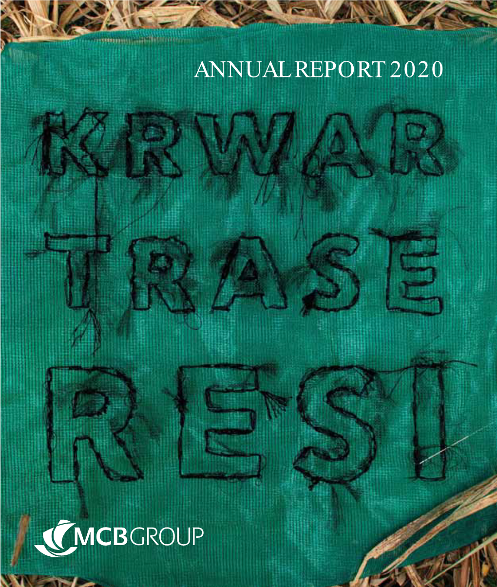 Annual Report 2020 Pdf