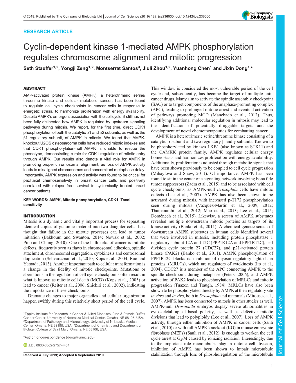 Cyclin-Dependent Kinase 1-Mediated AMPK Phosphorylation Regulates