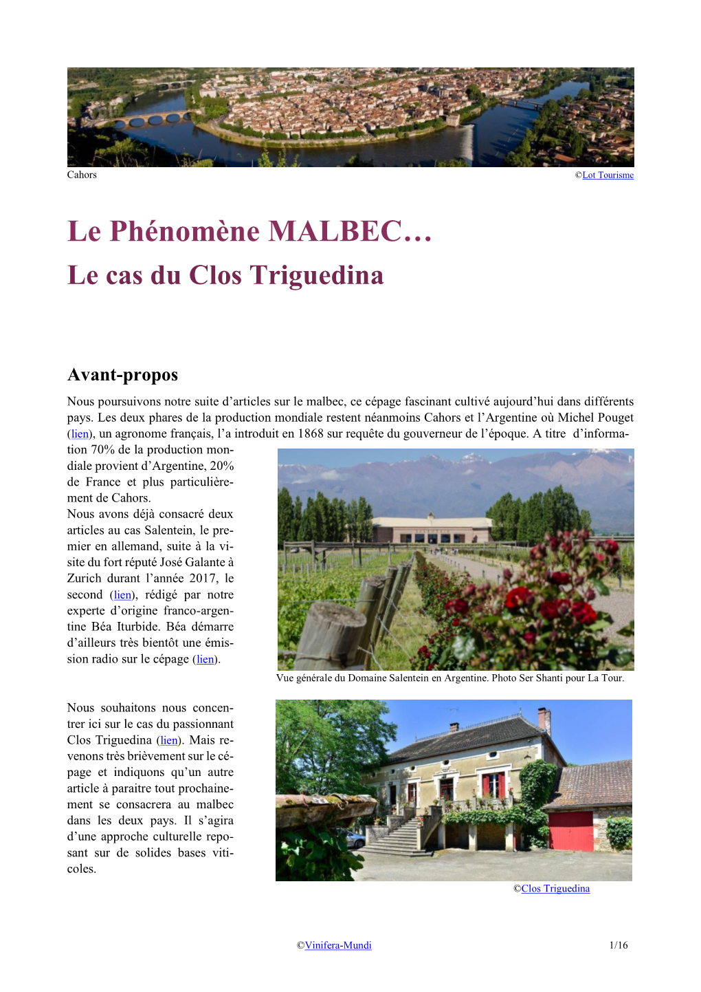 Le Phénomène MALBEC… Le Cas Du Clos Triguedina