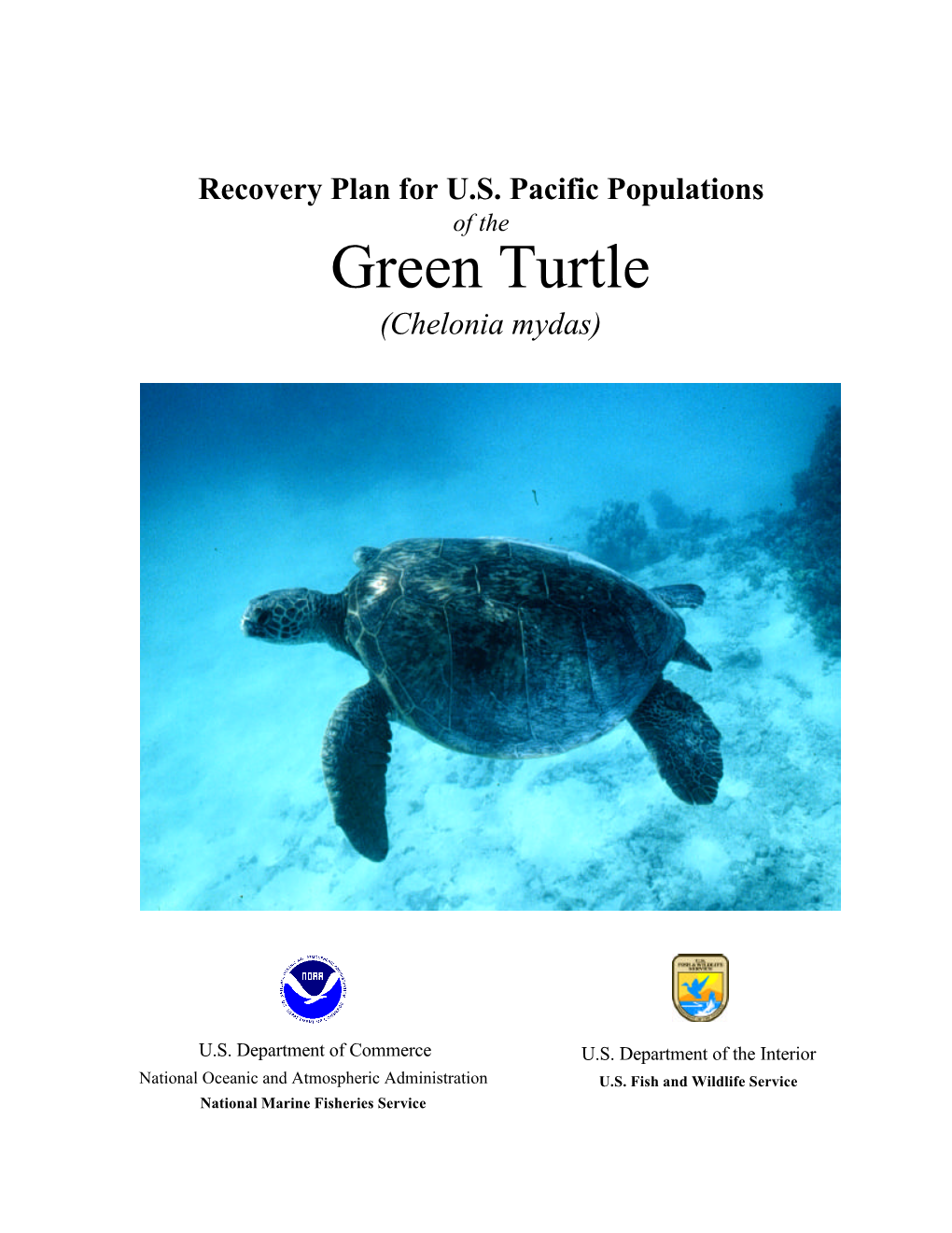 Recovery Plan for the US Populations of the Green Turtle