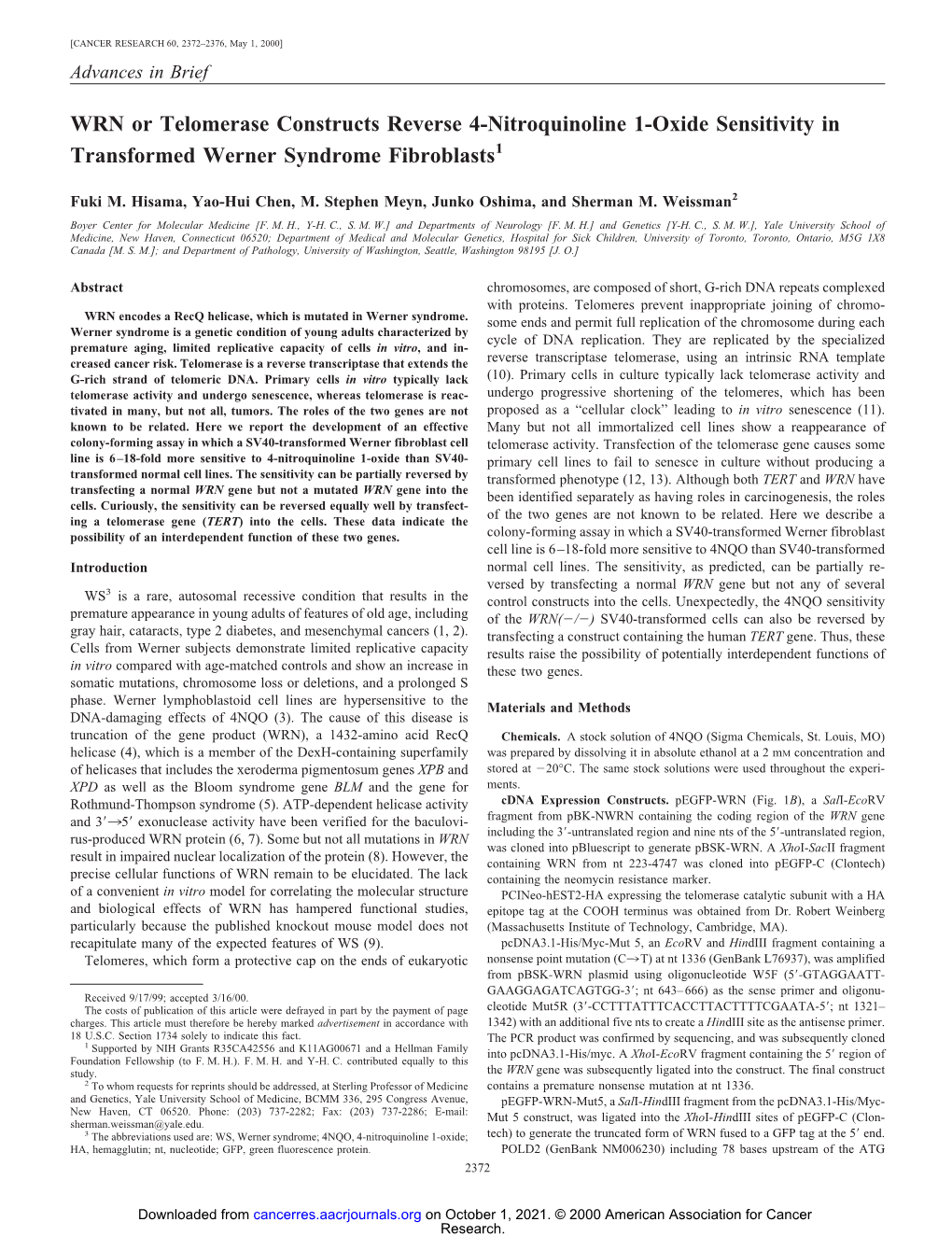 WRN Or Telomerase Constructs Reverse 4-Nitroquinoline 1-Oxide Sensitivity in Transformed Werner Syndrome Fibroblasts1