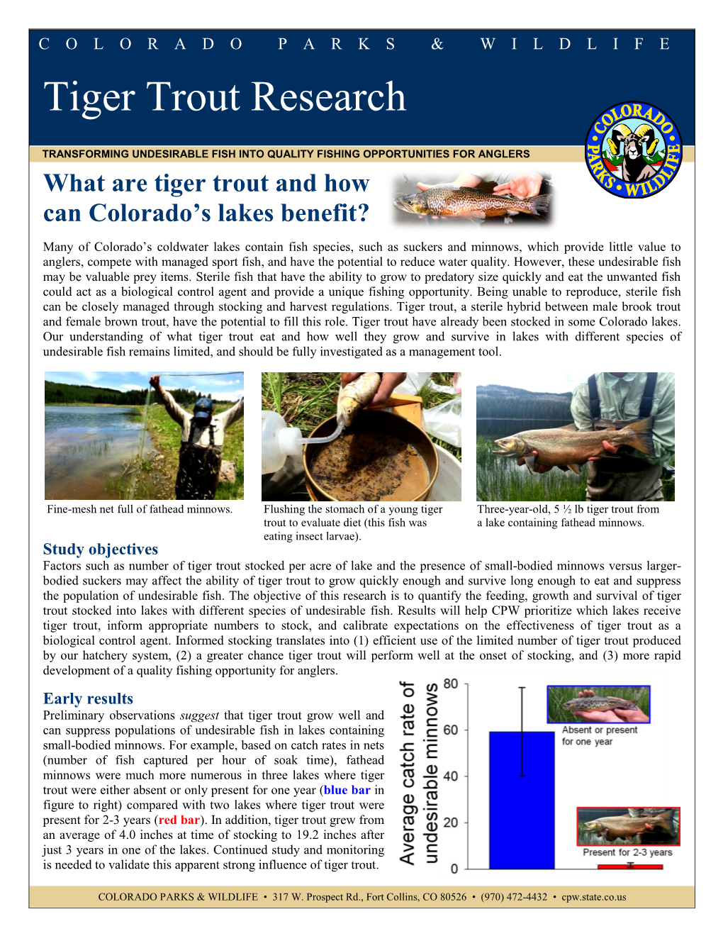 Tiger Trout Research
