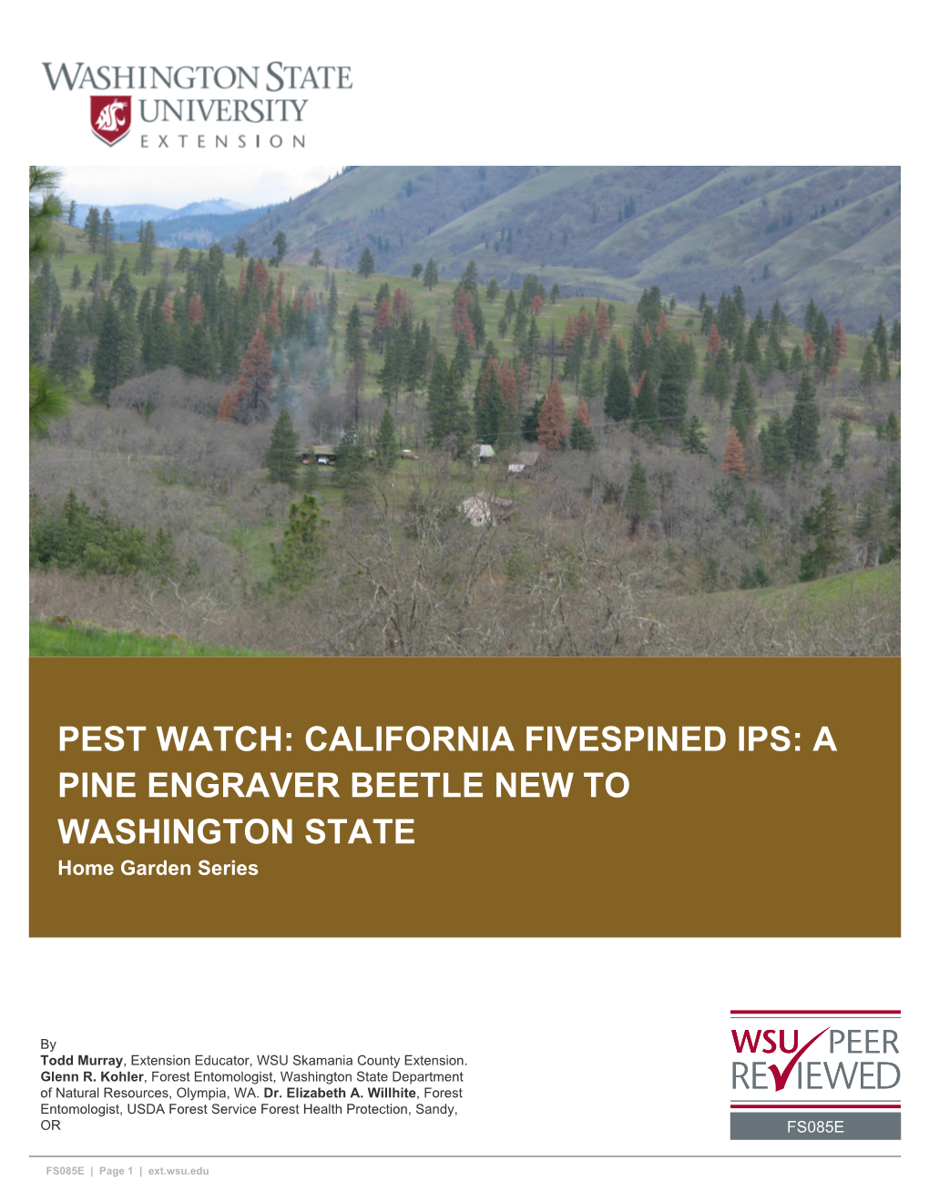 PEST WATCH: CALIFORNIA FIVESPINED IPS: a PINE ENGRAVER BEETLE NEW to WASHINGTON STATE Home Garden Series