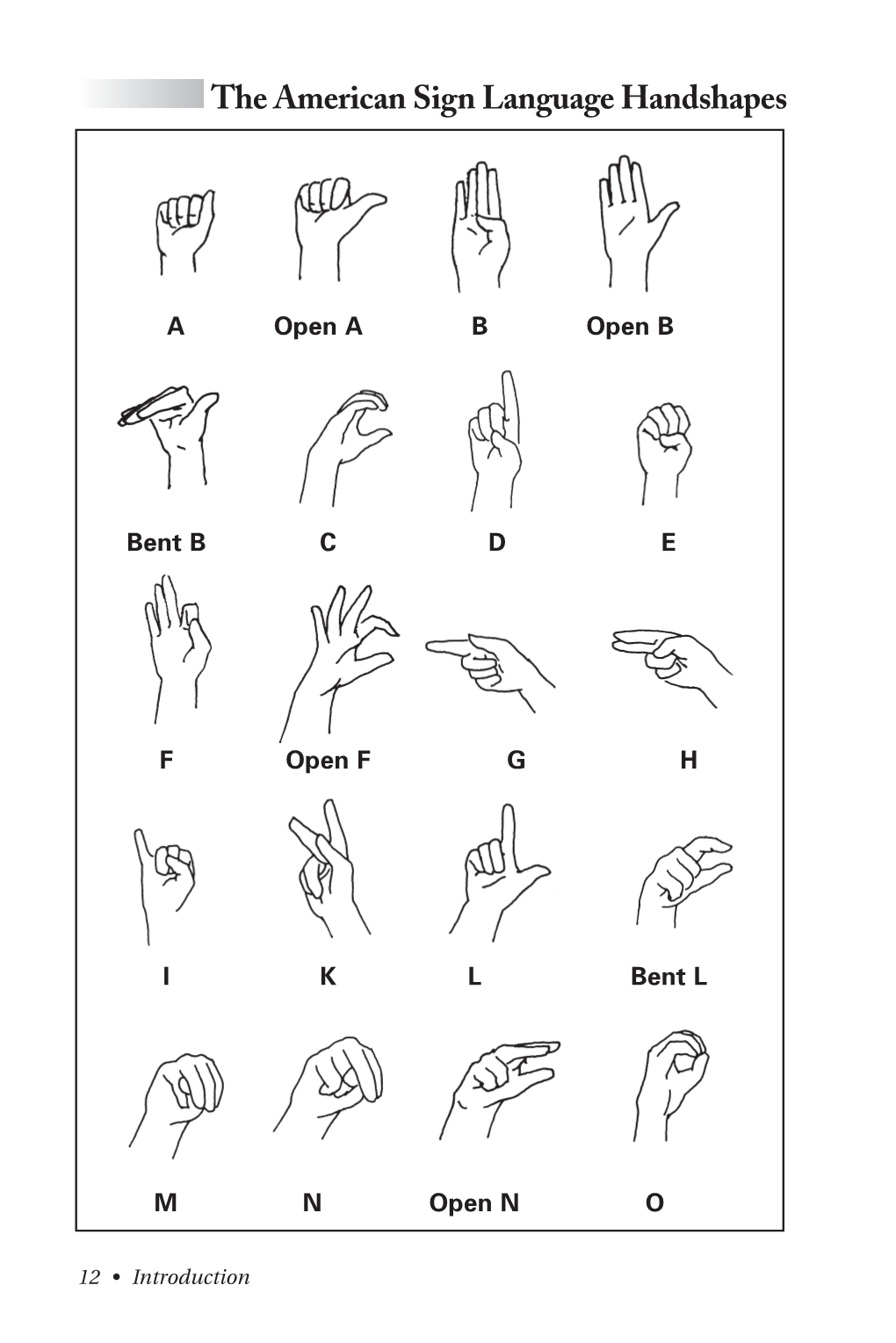 The American Sign Language Handshape Starter: a Beginner's