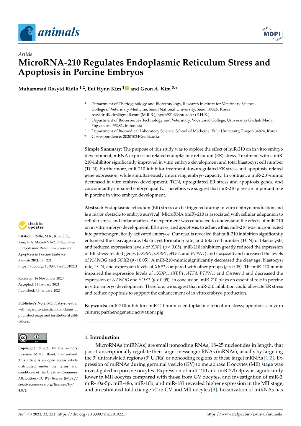 Microrna-210 Regulates Endoplasmic Reticulum Stress and Apoptosis in Porcine Embryos