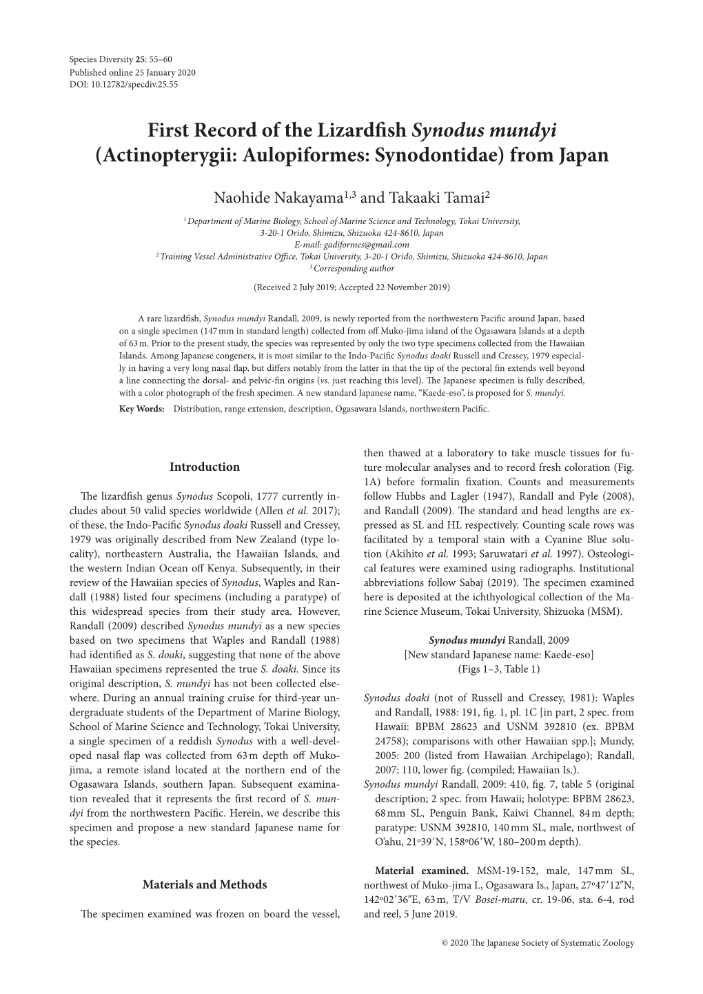 First Record of the Lizardfish Synodus Mundyi (Actinopterygii: Aulopiformes: Synodontidae) from Japan