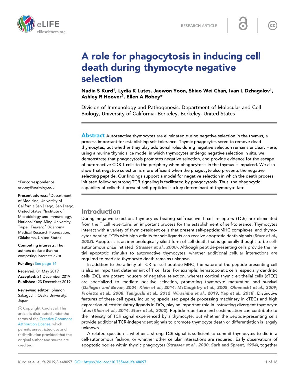 A Role for Phagocytosis in Inducing Cell Death During Thymocyte Negative
