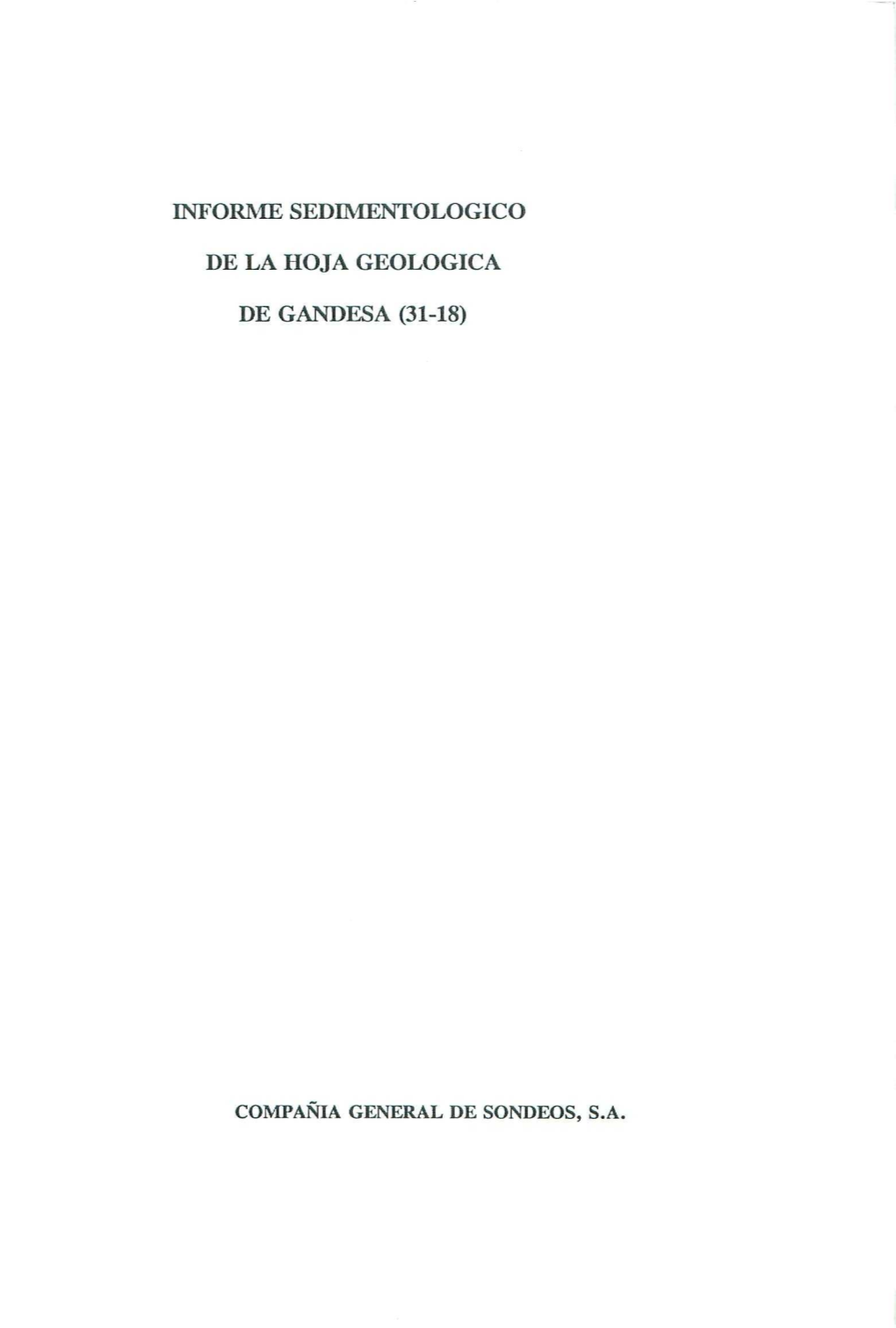 Informe Sedimentológico