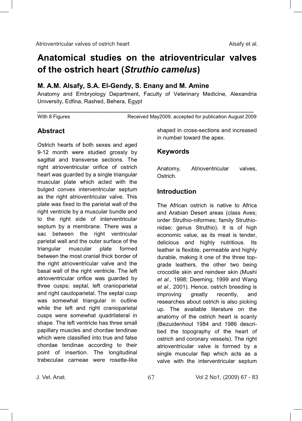 Anatomical Studies on the Atrioventricular Valves of the Ostrich Heart (Struthio Camelus)