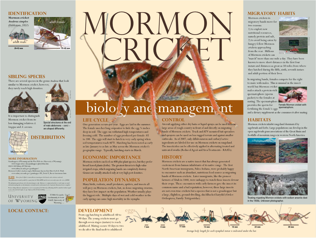 Mormon Cricket Biology and Management