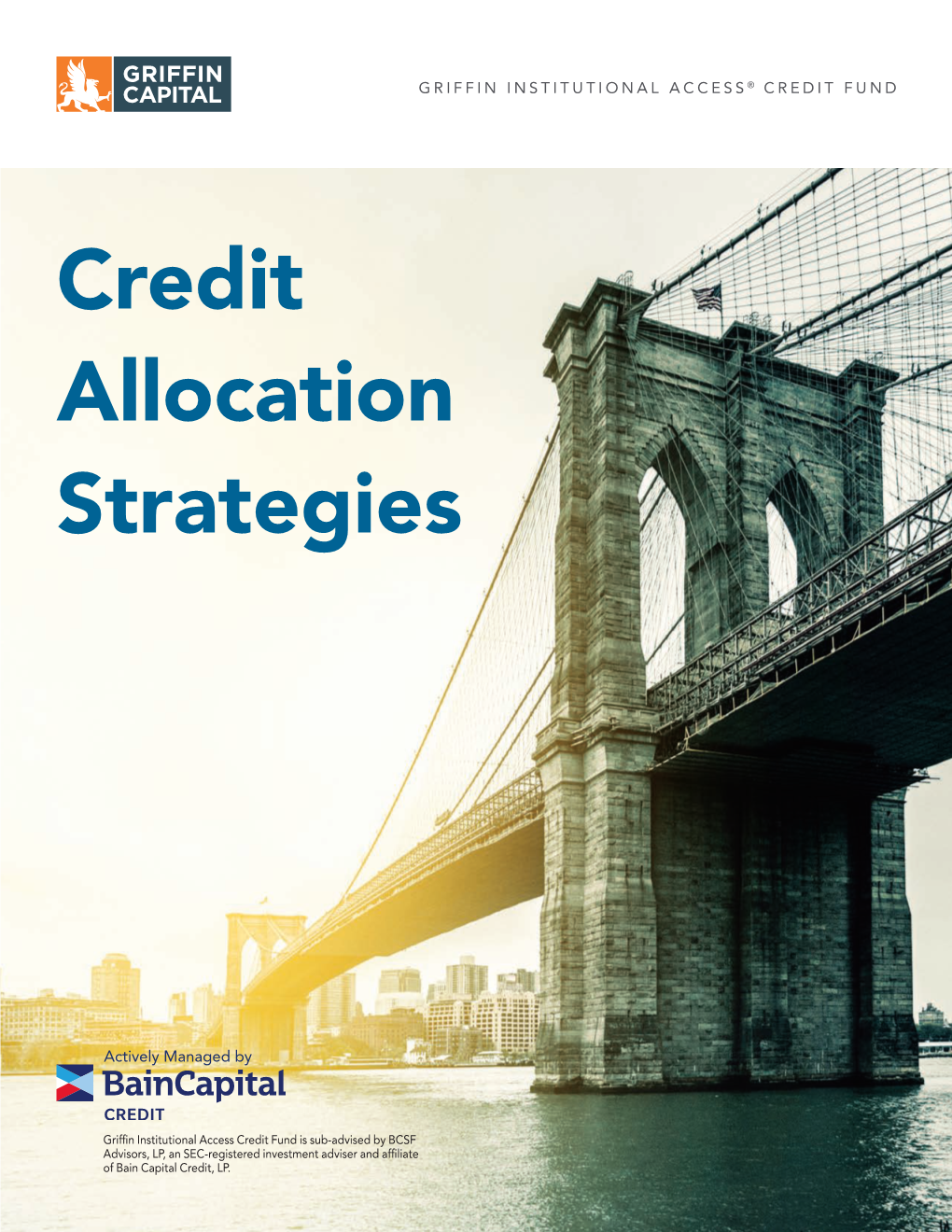 Credit Allocation Strategies