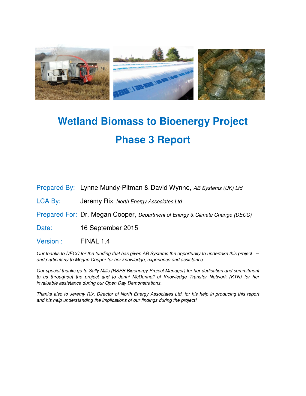 Wetland Biomass to Bioenergy Project Phase 3 Report