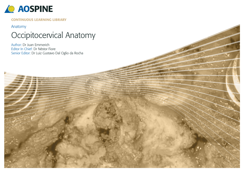 Occipitocervical Anatomy Author: Dr Juan Emmerich Editor in Chief: Dr Néstor Fiore Senior Editor: Dr Luiz Gustavo Dal Oglio Da Rocha OBJECTIVES