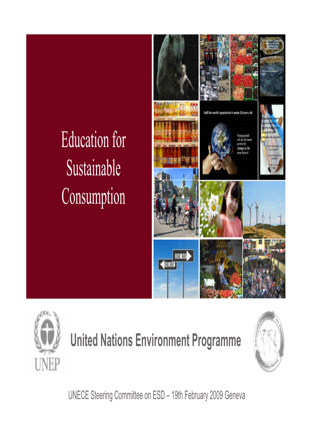 Education for Sustainable Consumption