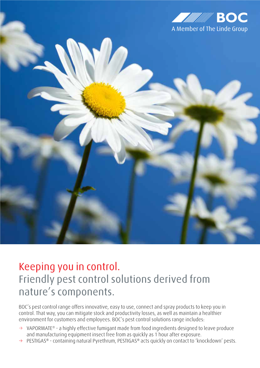 Friendly Pest Control Solutions Derived from Nature's Components