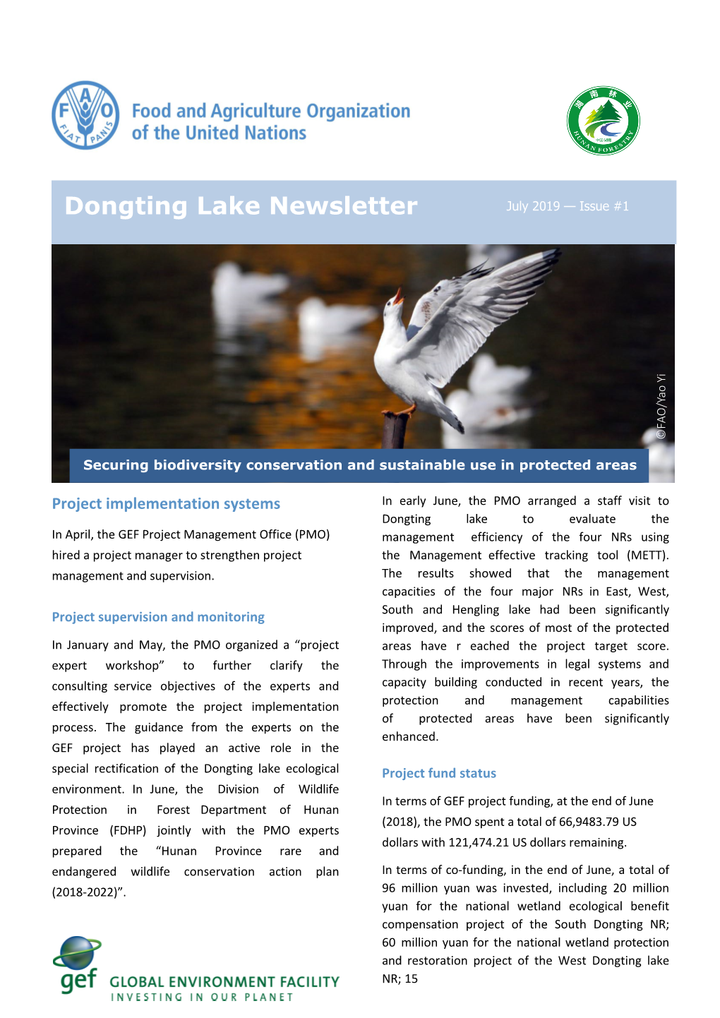 Dongting Lake Newsletter July 2019 — Issue #1 AO/ Y Ao I ©F