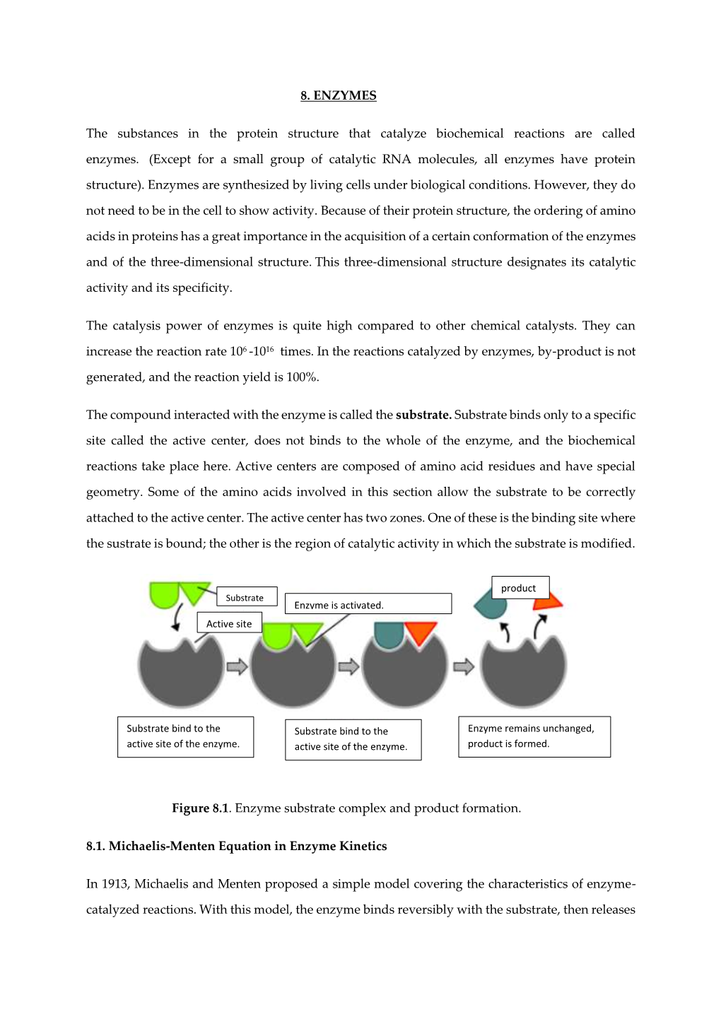 8. ENZYMES the Substances in the Protein Structure That Catalyze