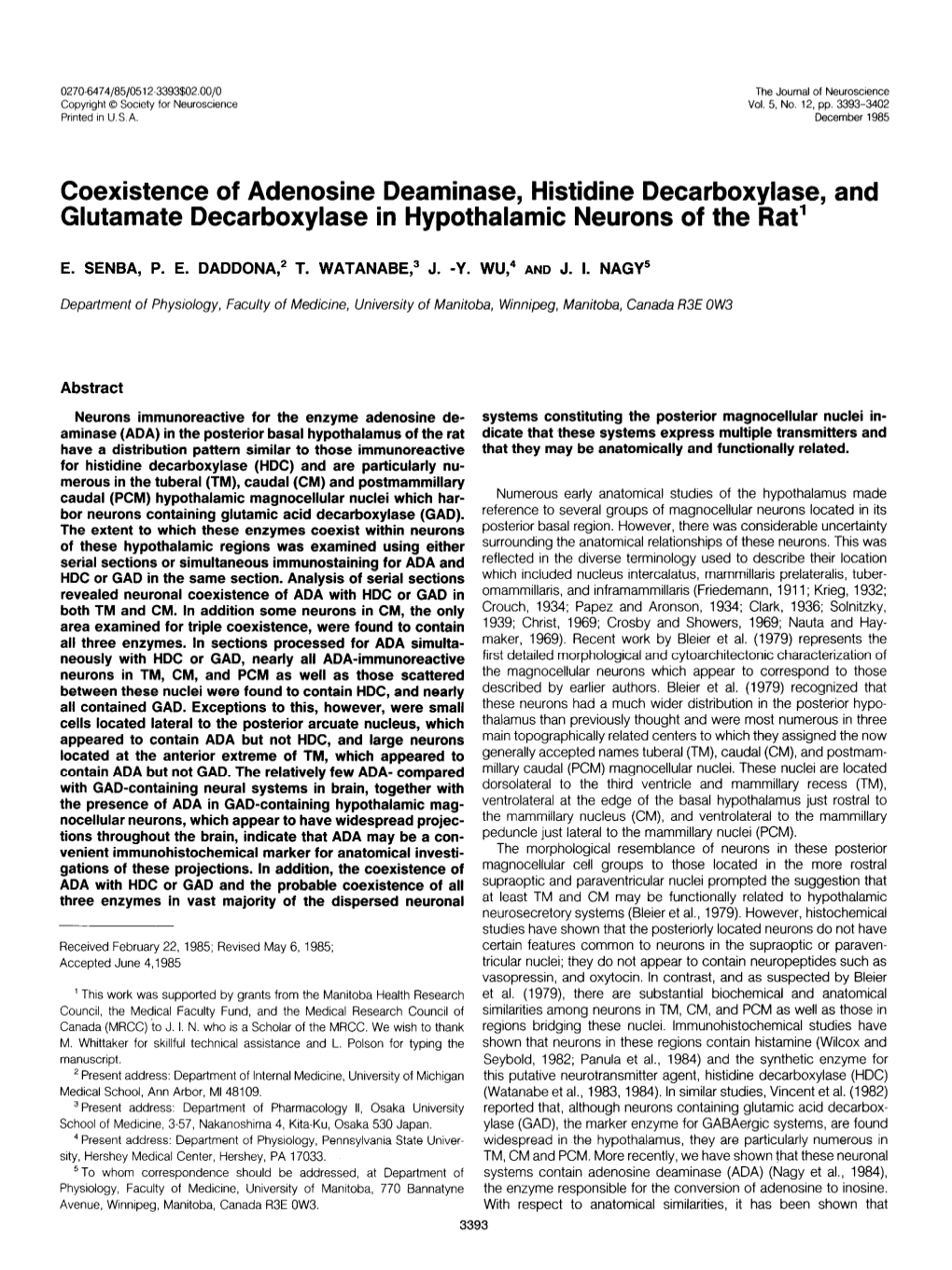 Coexistence of Adenosine Deaminase, Histidine Decarboxylase, and Glutamate Decarboxylase in Hypothalamic Neurons of the Rat’