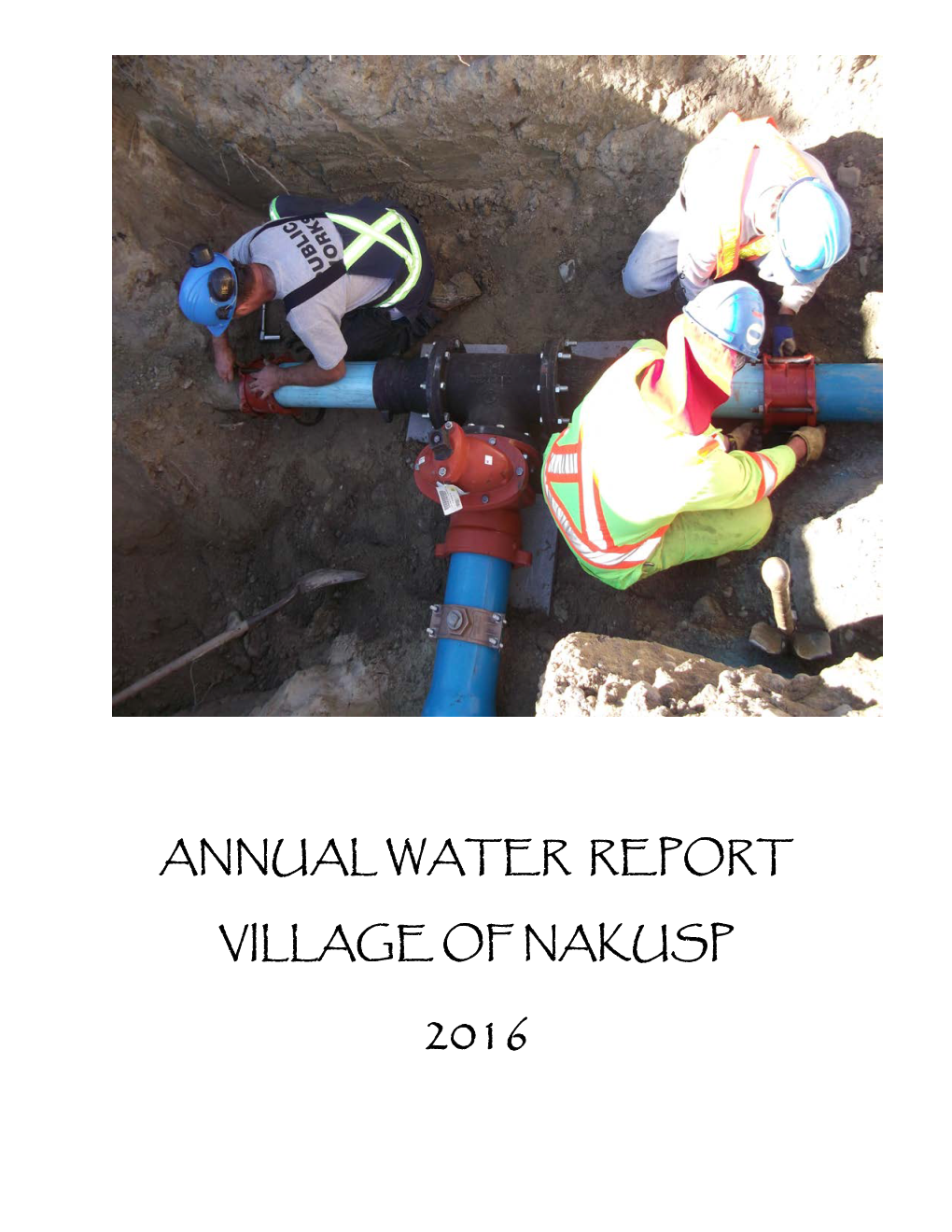 Annual Water Report, 2016