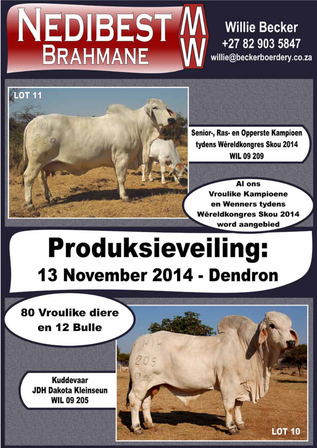 2014 21 Brahman