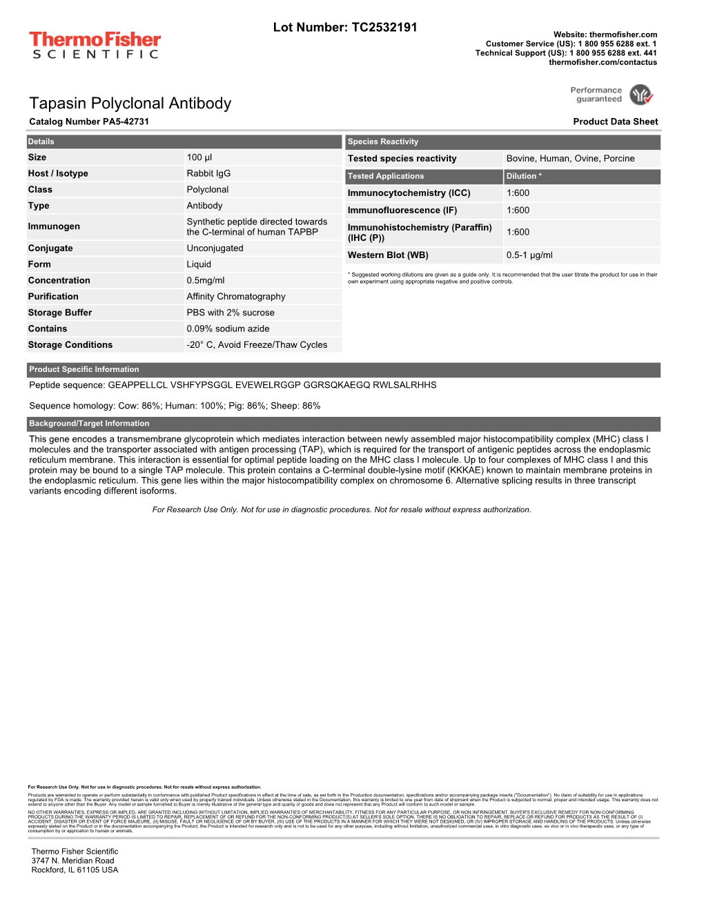 Tapasin Polyclonal Antibody Catalog Number PA5-42731 Product Data Sheet