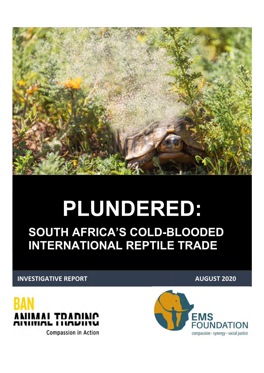 Plundered: South Africa's Cold-Blooded International Reptile