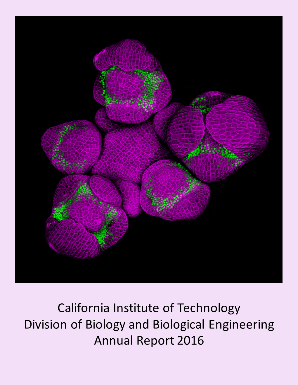 California Institute of Technology Division of Biology and Biological