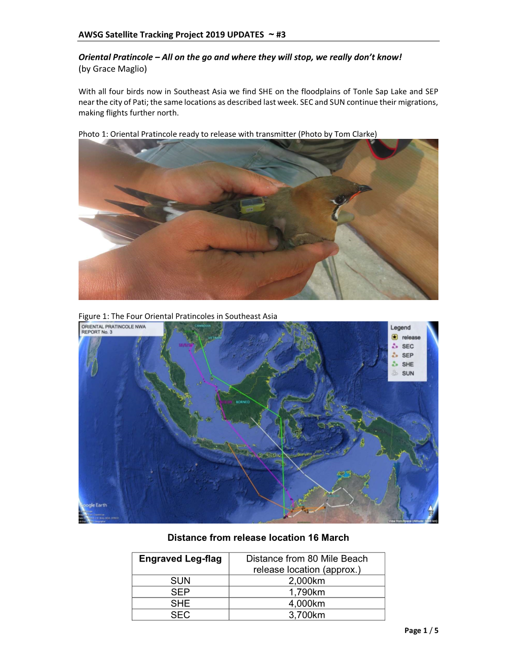 AWSG Satellite Tracking Project 2019 UPDATES ~ #3