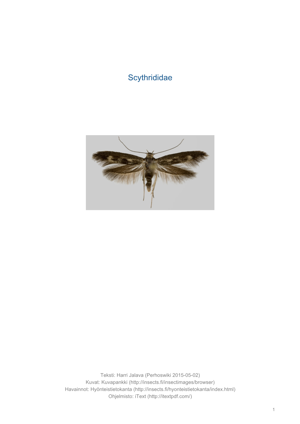 Scythrididae