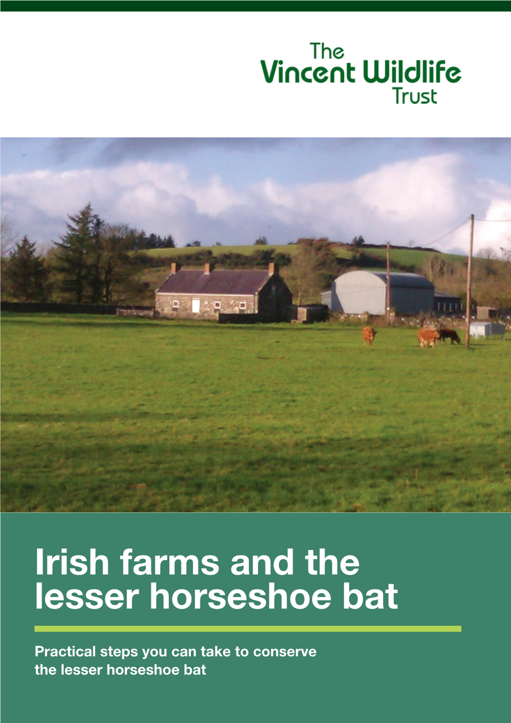 Irish Farms and the Lesser Horseshoe Bat
