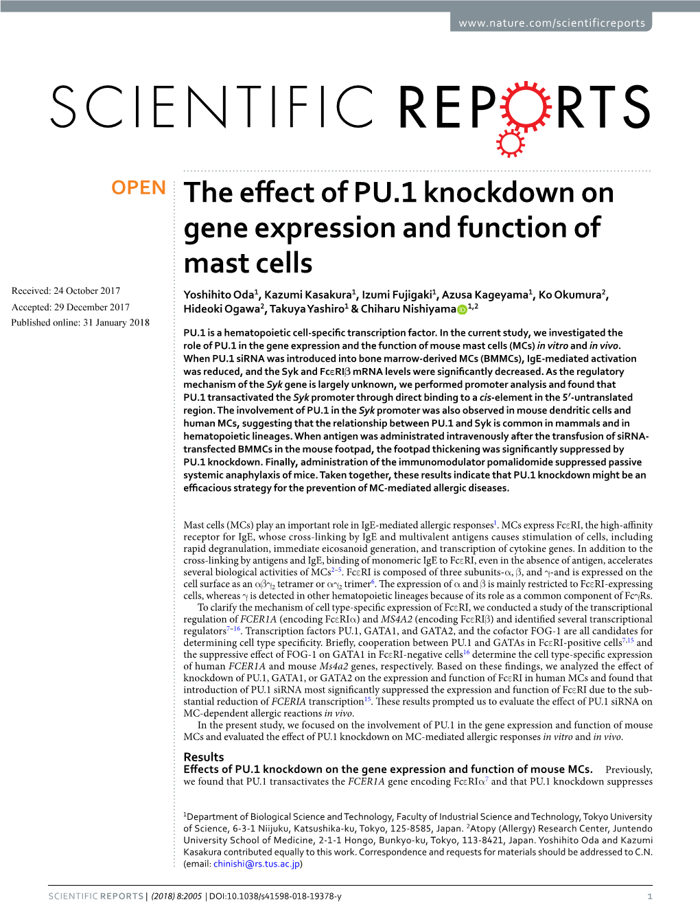 The Effect of PU.1 Knockdown on Gene Expression and Function of Mast Cells