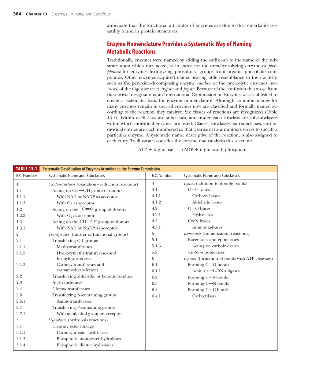 Enzyme Nomenclature Provides a Systematic Way of Naming