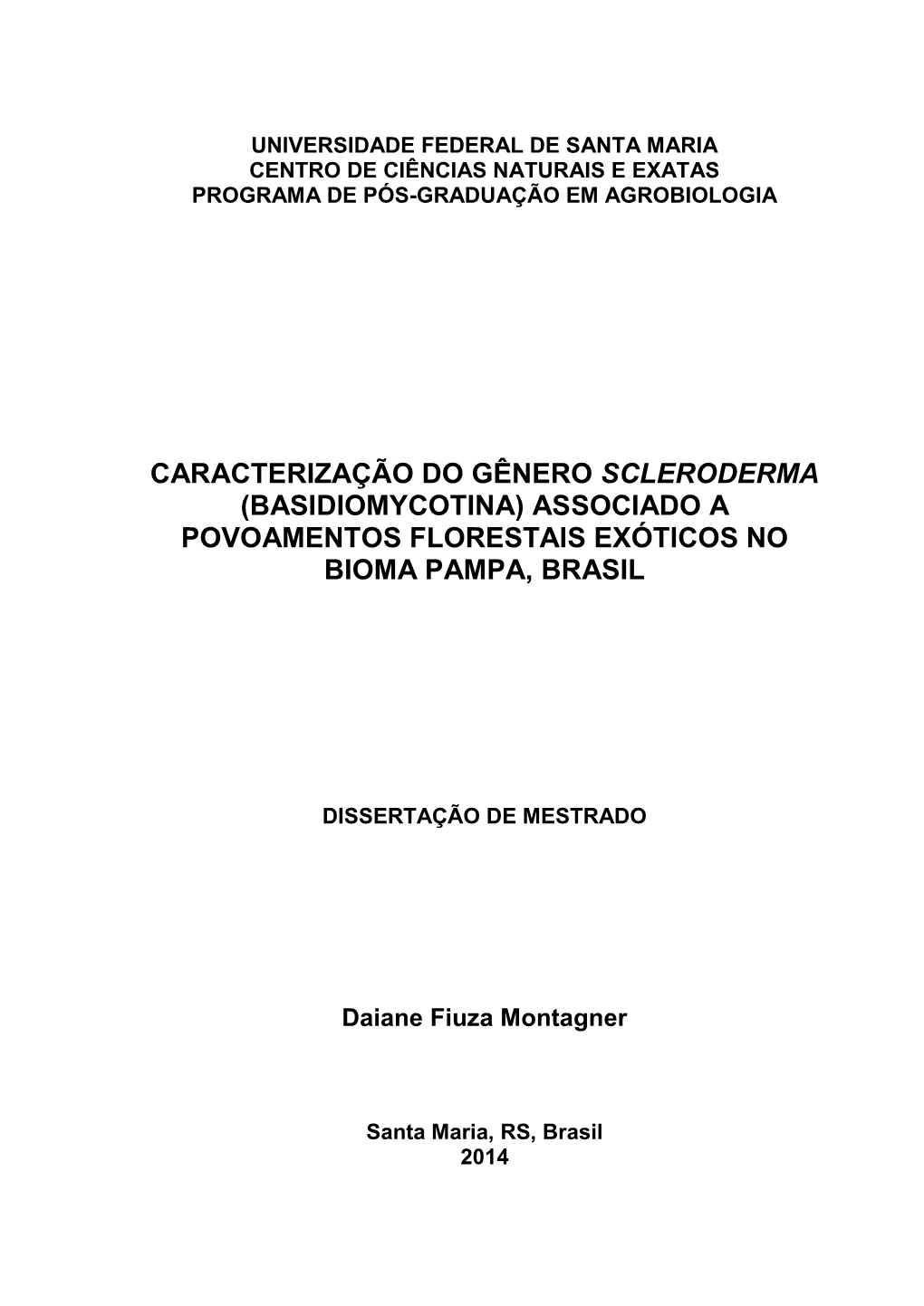 MONTAGNER, DAIANE FIUZA.Pdf (1.873Mb)