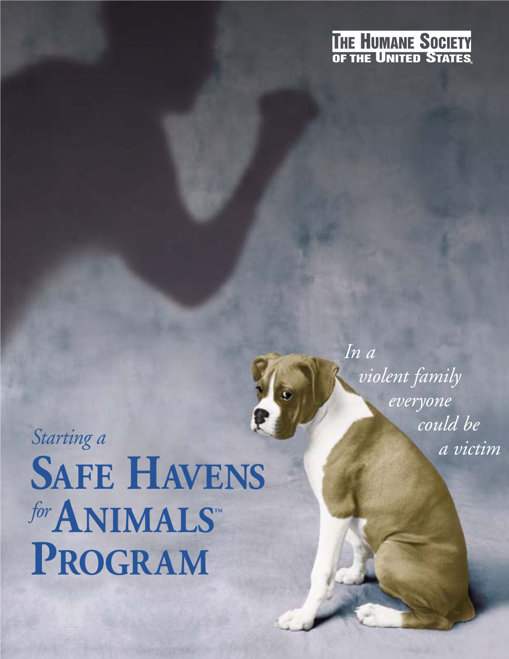 Starting a Safe Havens for Animals Program