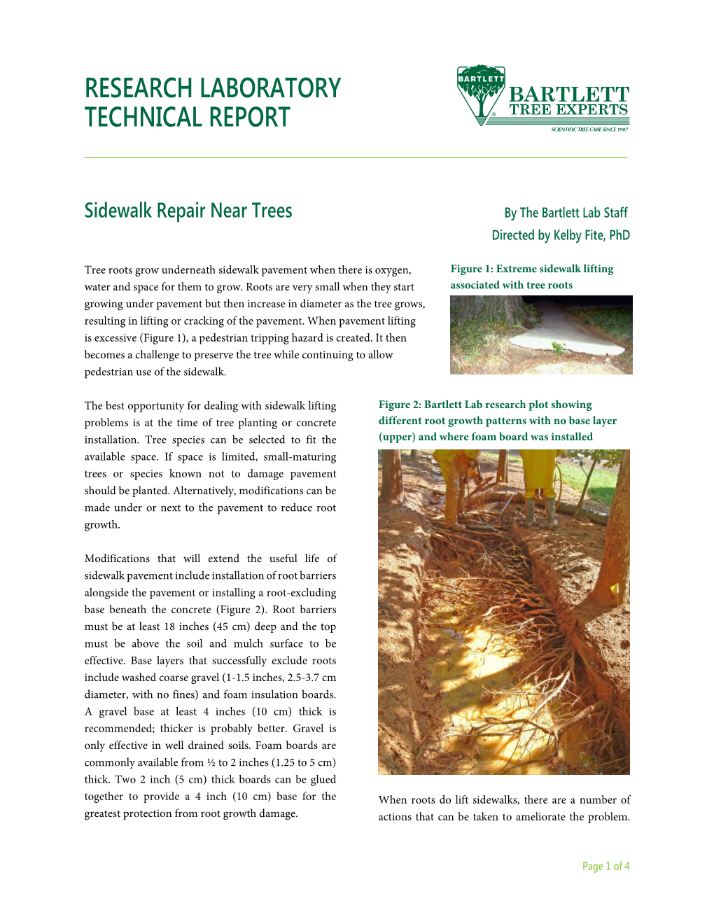 Sidewalk Repair Near Trees by the Bartlett Lab Staff Directed by Kelby Fite, Phd