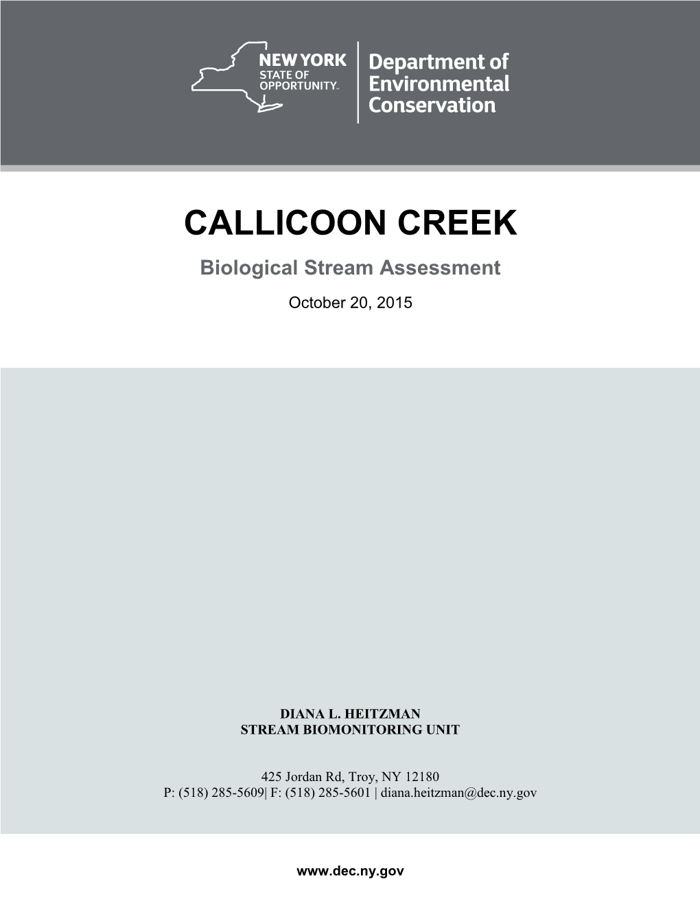 Callicoon Creek, 2015