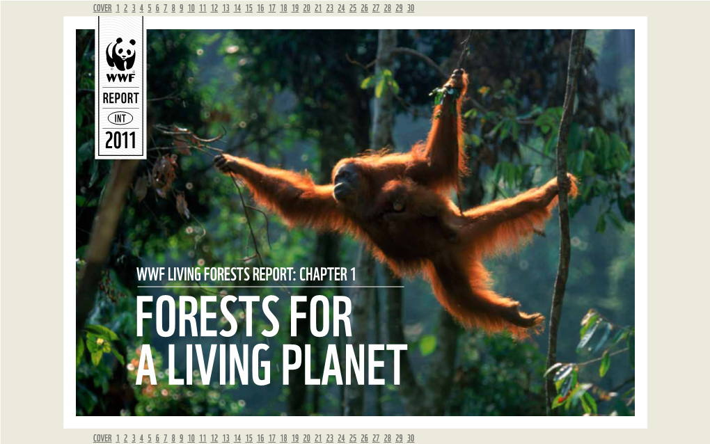 Wwf Living Forests Report: Chapter 1 Forests for a Living Planet