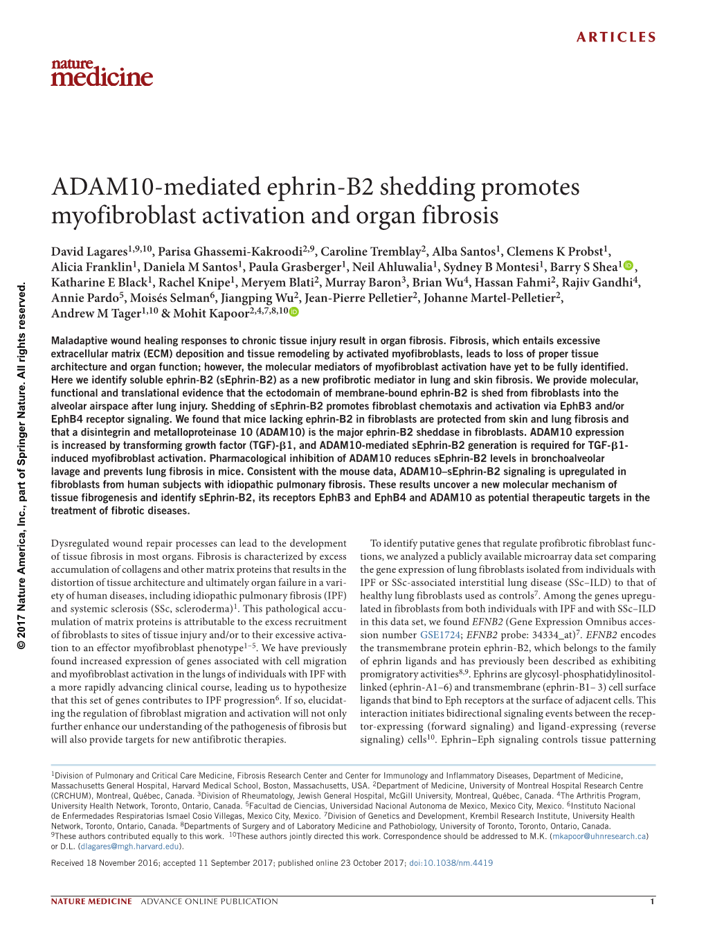 ADAM10-Mediated Ephrin-B2 Shedding Promotes Myofibroblast